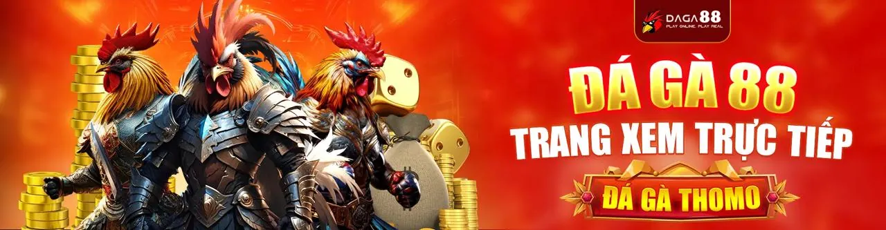 Nền tảng cá cược đá gà an toàn và đáng tin cậy 85win
